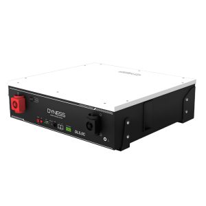 Акумуляторна батарея Dyness DL5.0C-H з підігрівом, 51.2В/100Ач (5.12 кВт•год), 54 кг, 558х545х150 мм