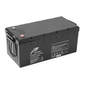 Акумуляторна батарея Ritar LiFePO4 25,6V 100Ah з Bluetooth, CAN/RS485, 2560Wh BMS100A@8S ( 522 х 240 х 219 (224) ), 22kg Q1