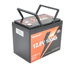 Акумуляторна батарея YEAGULCH Mini LiFePO4 12,8V 100Ah 1280Wh, BMS-100A, ( 246 x 187 x 197) , M8, 12.9kg Q1
